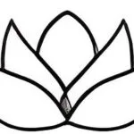 Paulina Gałuszka-Kasperek